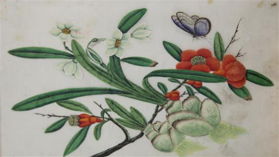 A set of four 19th century Chinese pith paper paintings of flowers, 10 x 7in. (5)
